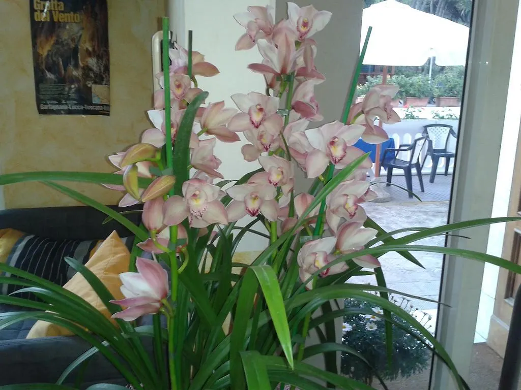 Hotel Sogno Viareggio