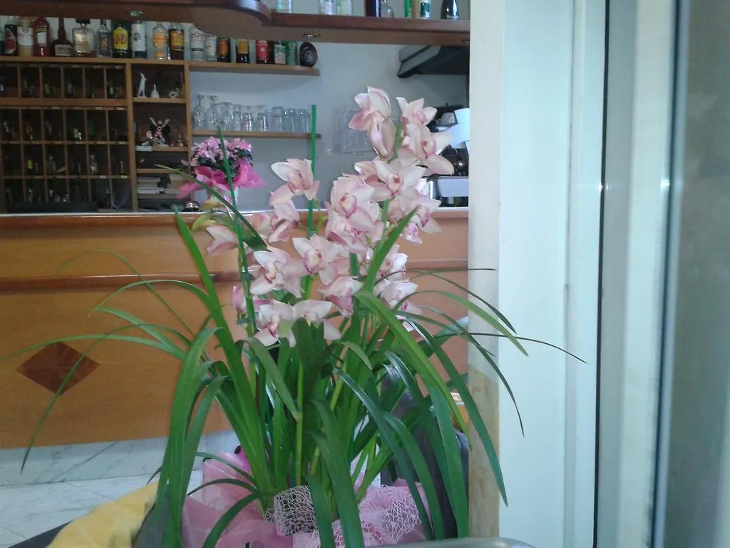 Hotel Sogno Viareggio